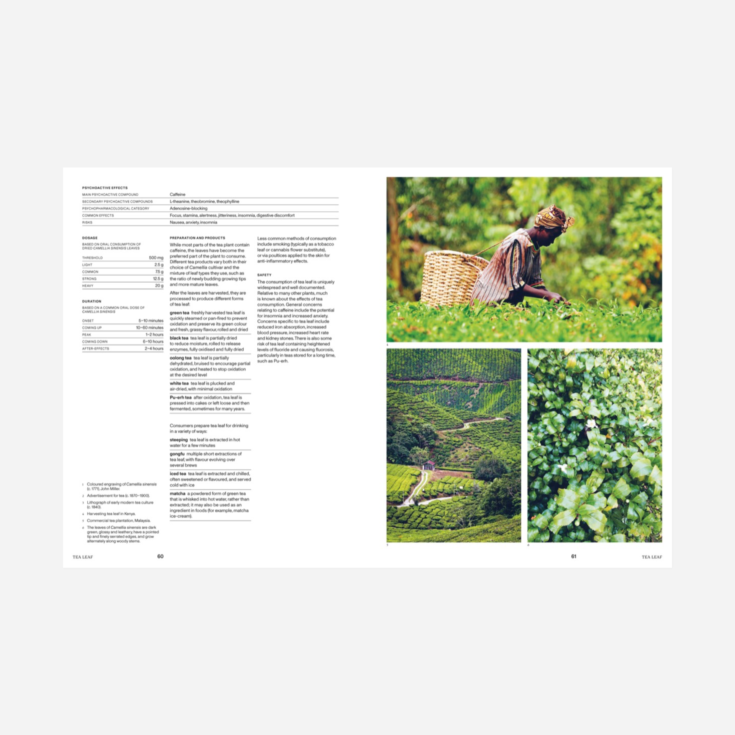 Knyga. Psychoactive Plants & Fungi