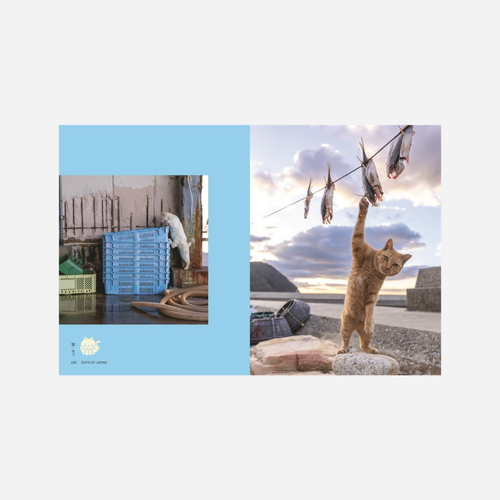 Knyga. Neko: Cats of Japan