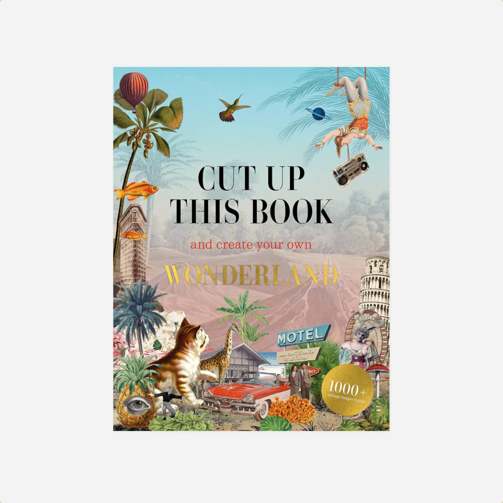 Knyga. Cut Up This Book and Create Your Own Wonderland