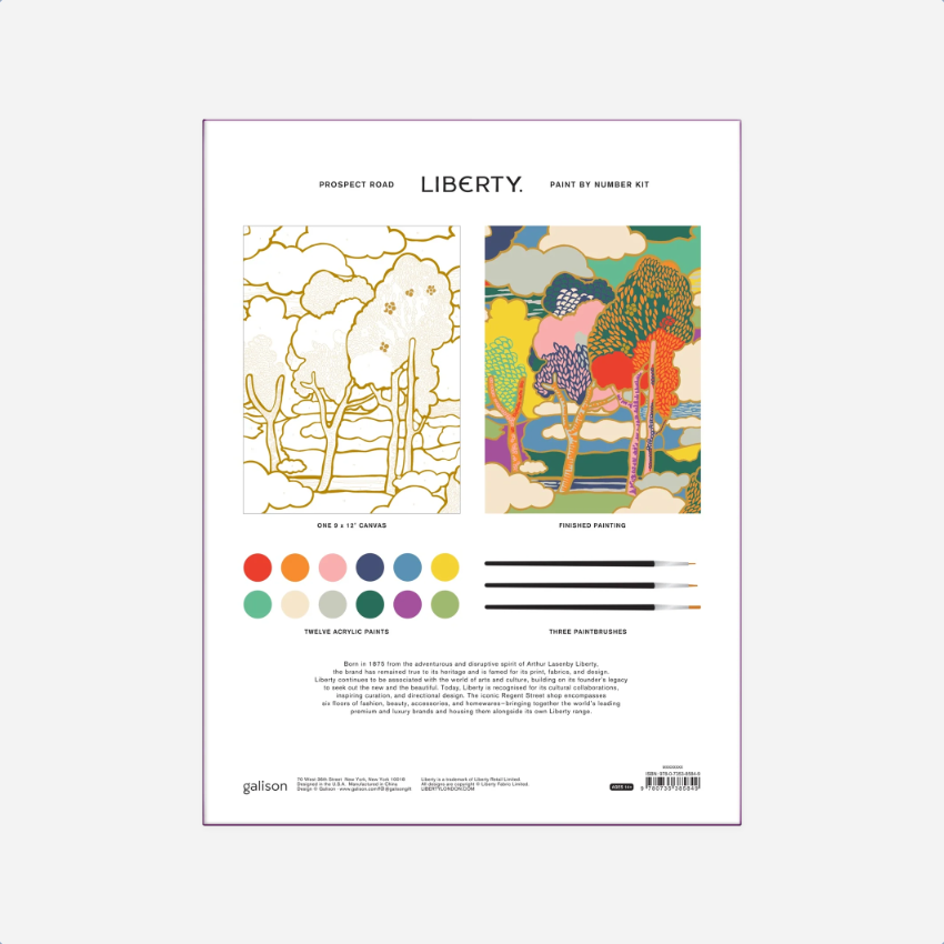 Piešimo rinkinys. Liberty Paint by Number [Prospect Road]