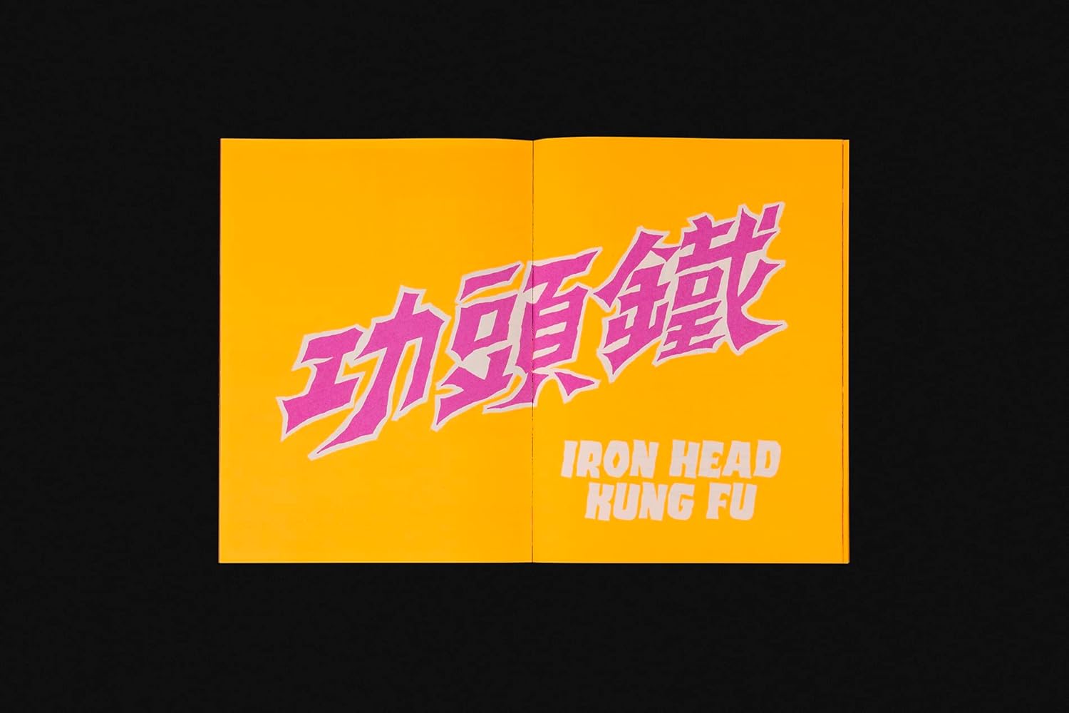 Knyga. I Know Kung Fu