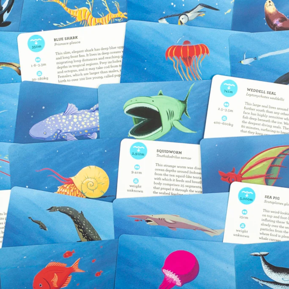 Kortelės. Deep Sea Discovery