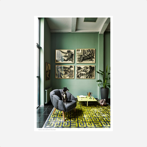 Knyga. Creative Homes [Netherlands]