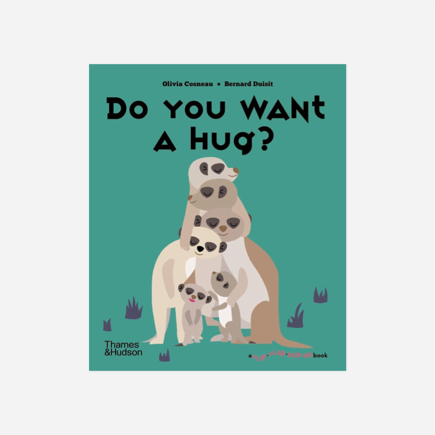 Knyga. Do You Want a Hug?