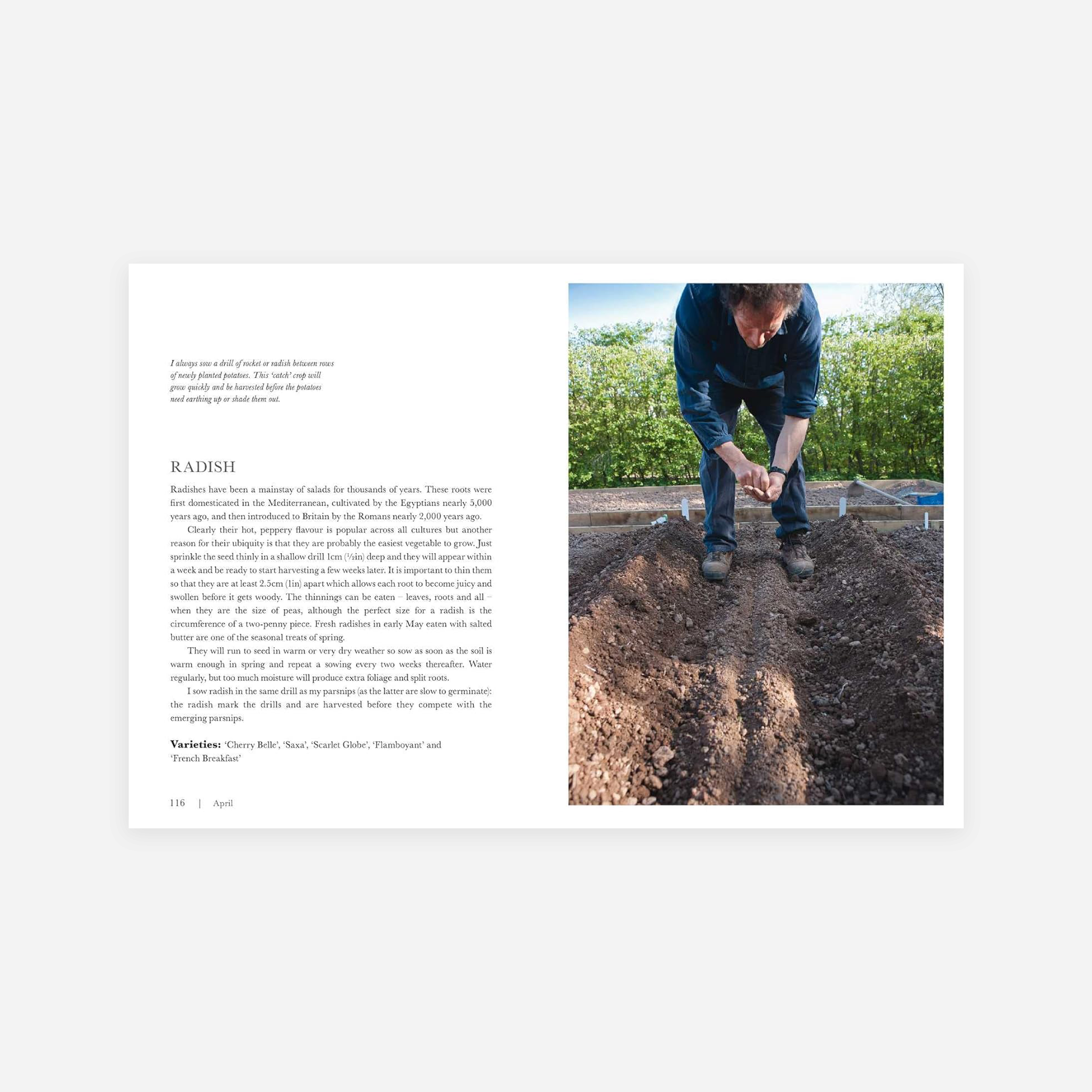 Knyga. Gardening at Longmeadow