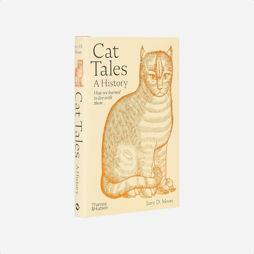 Knyga. Cat Tales