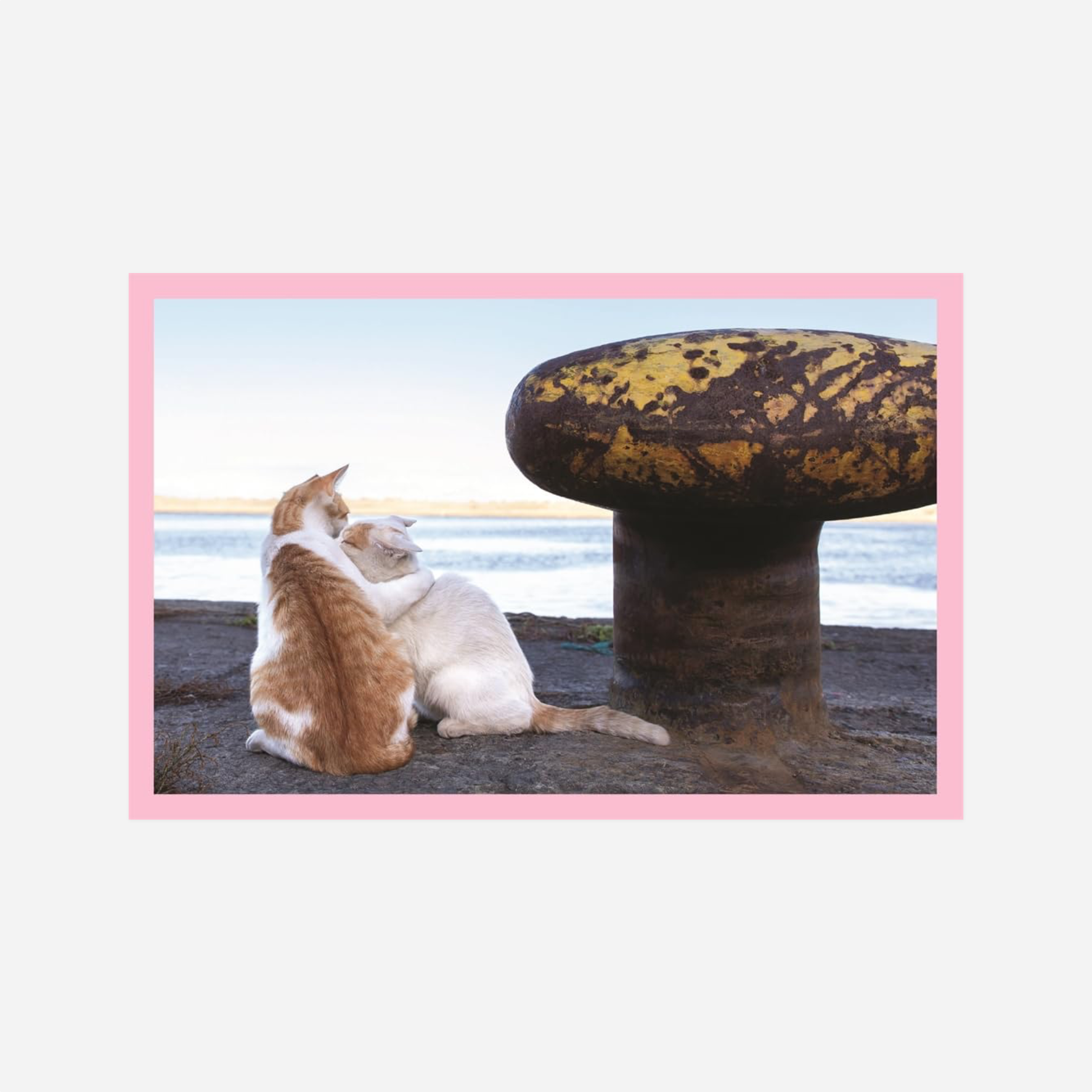 Knyga. Neko: Cats of Japan
