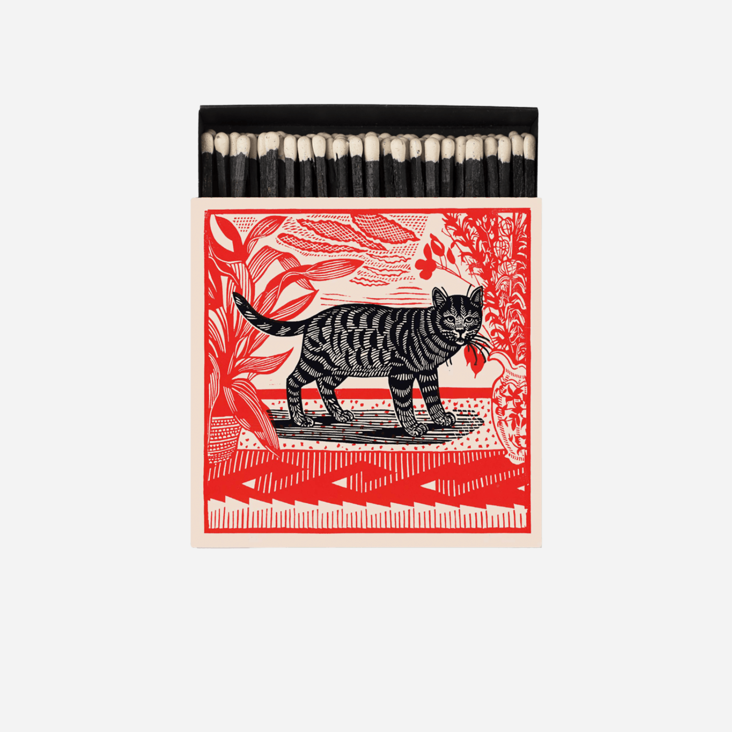 Degtukai. Archivist [Sasha the Cat]