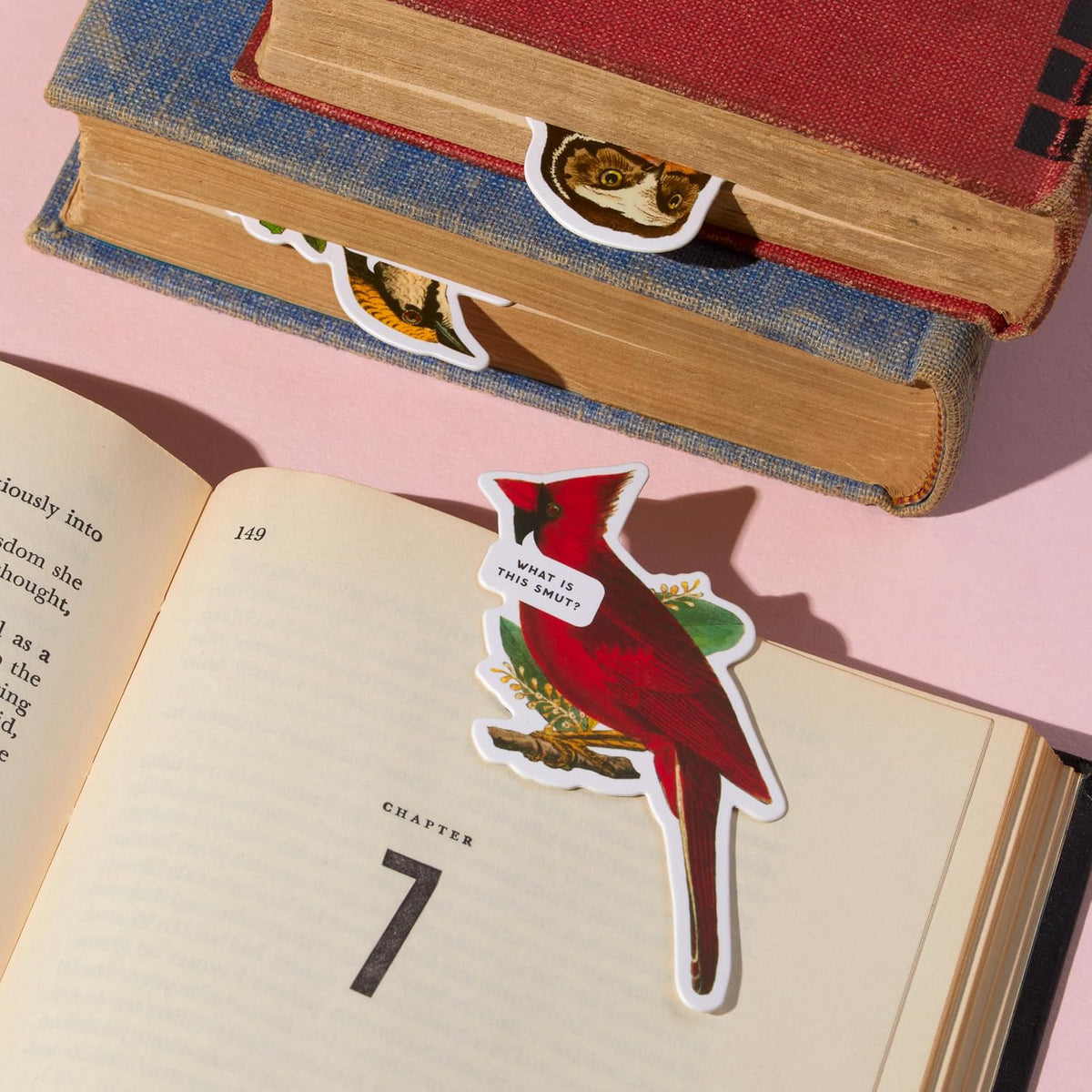Skirtukų rinkinys. Salty Birds Magnetic Bookmark Set