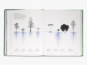 Knyga. Trees: From Root to Leaf