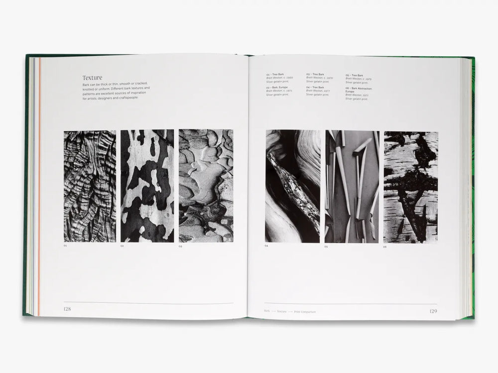 Knyga. Trees: From Root to Leaf