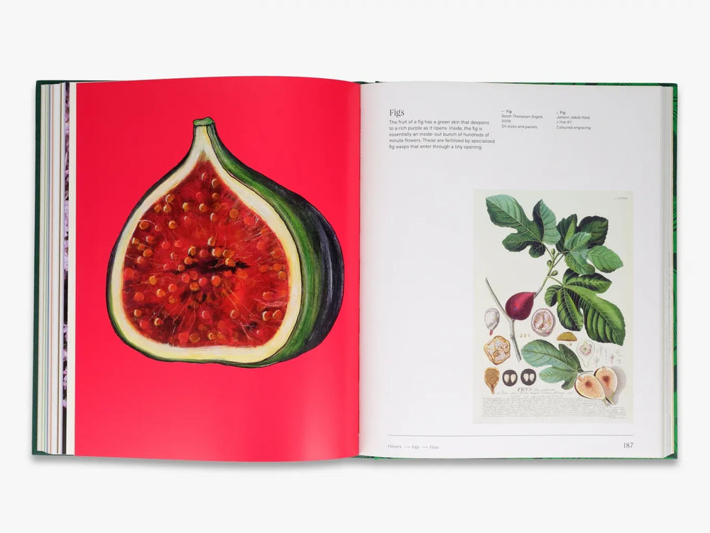 Knyga. Trees: From Root to Leaf