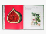 Knyga. Trees: From Root to Leaf