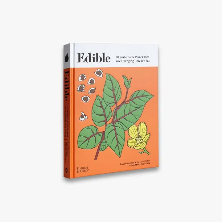Knyga. Edible