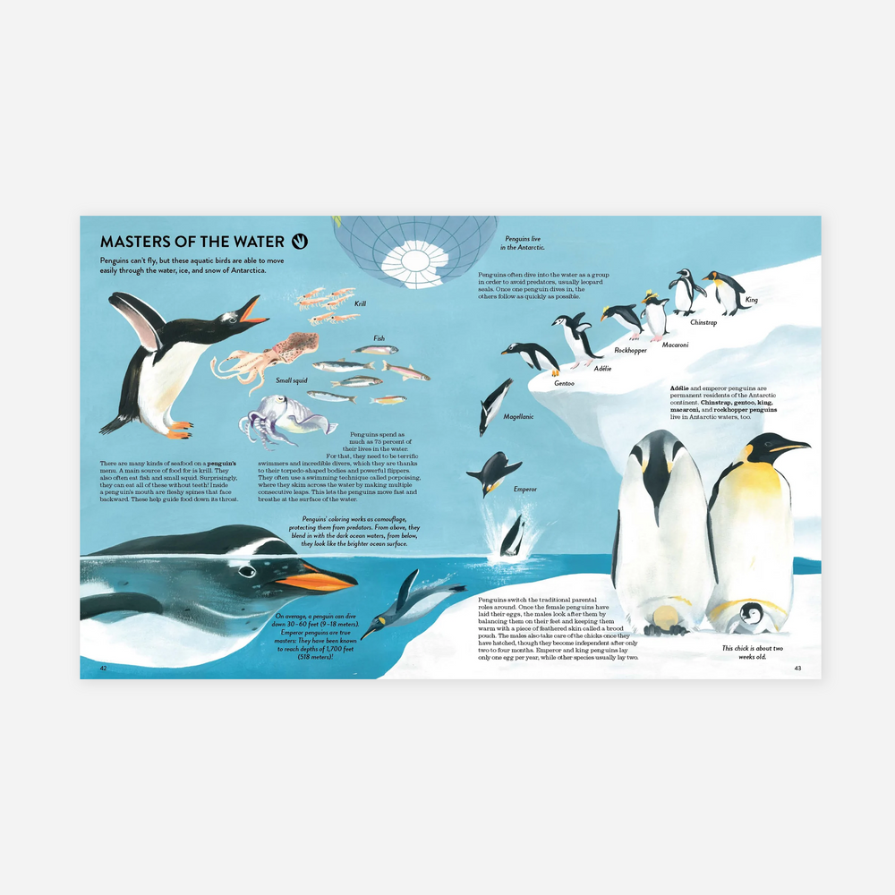 Knyga. Penguins and Polar Bears