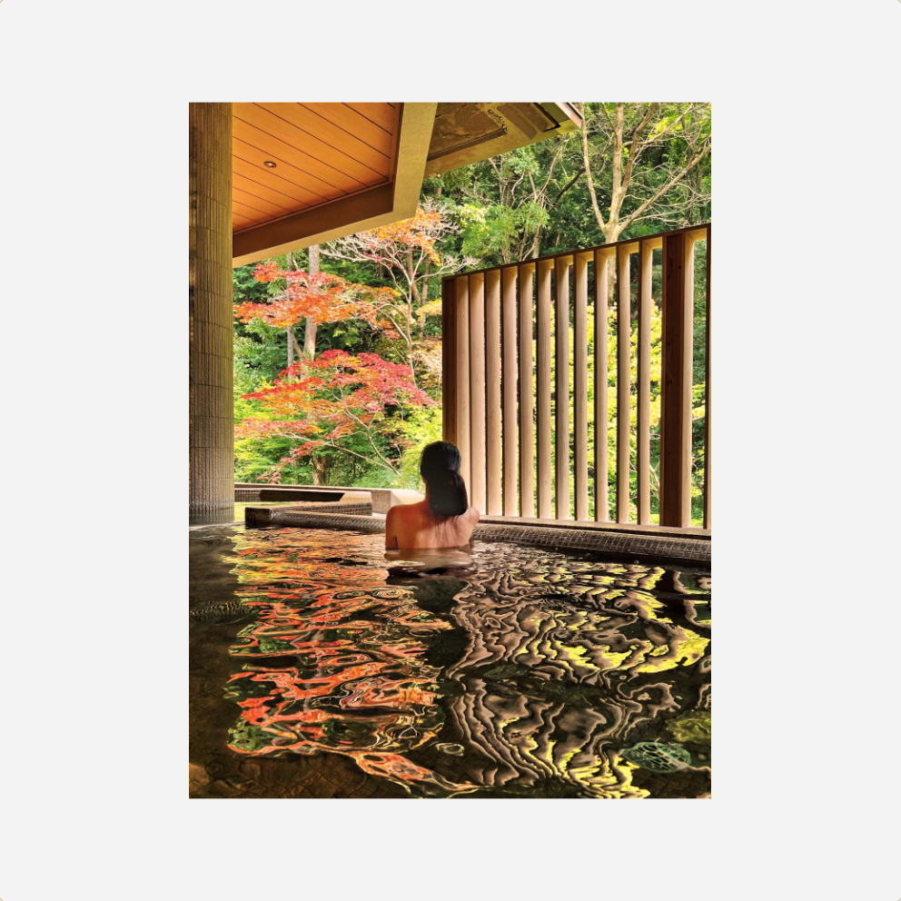 Knyga. Onsen and Ryokan of Japan