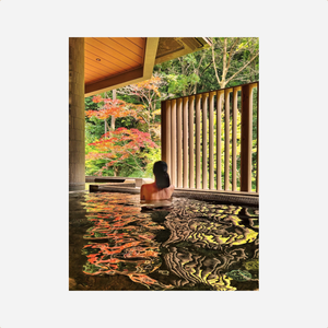 Knyga. Onsen and Ryokan of Japan