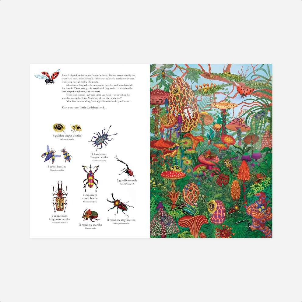 Knyga. The Incredible 3D Bug Hunt