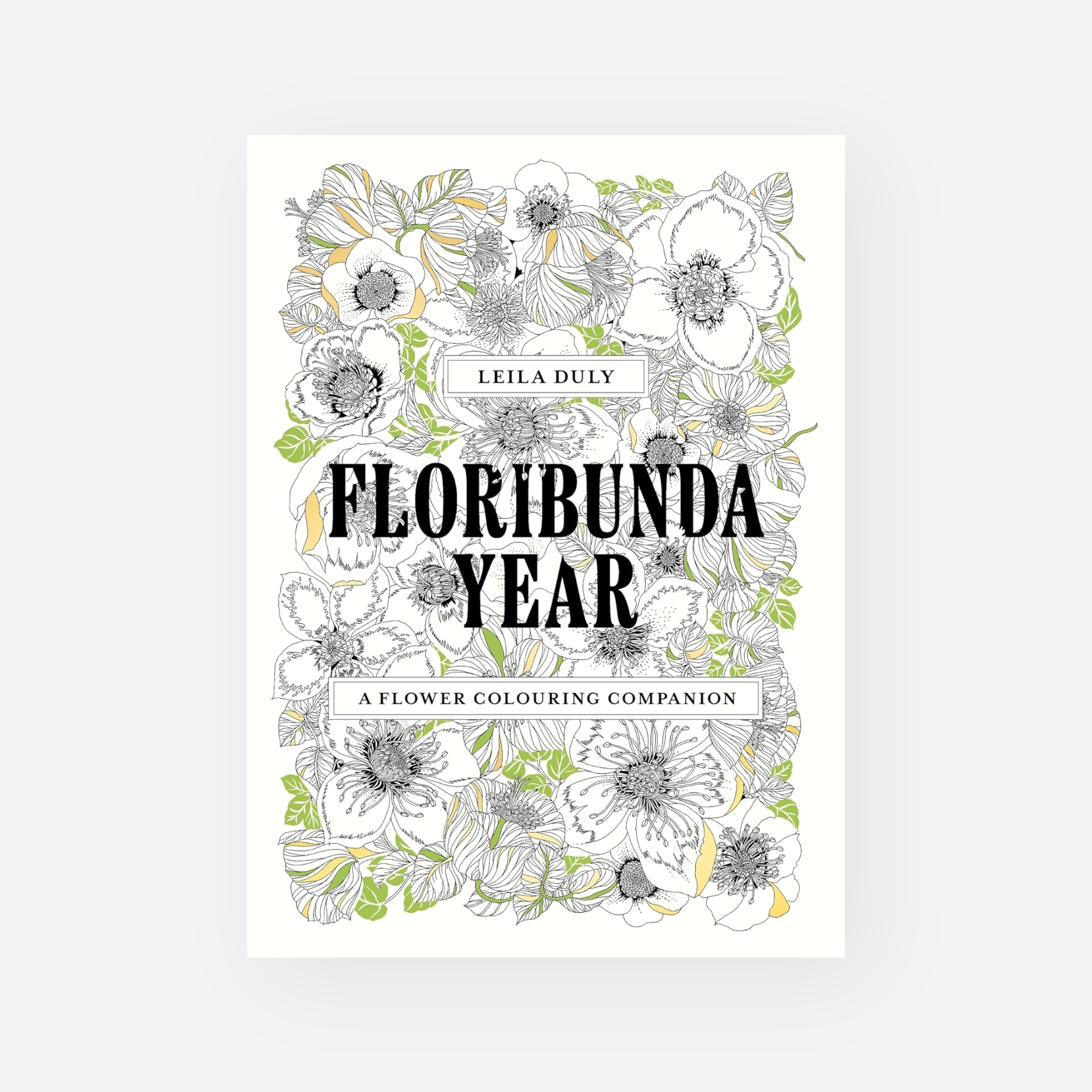 Spalvinimo knyga. Floribunda Year