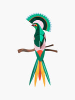 Dėlionė. Paradise Bird Gili