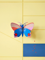 Dėlionė. Hapi Butterfly