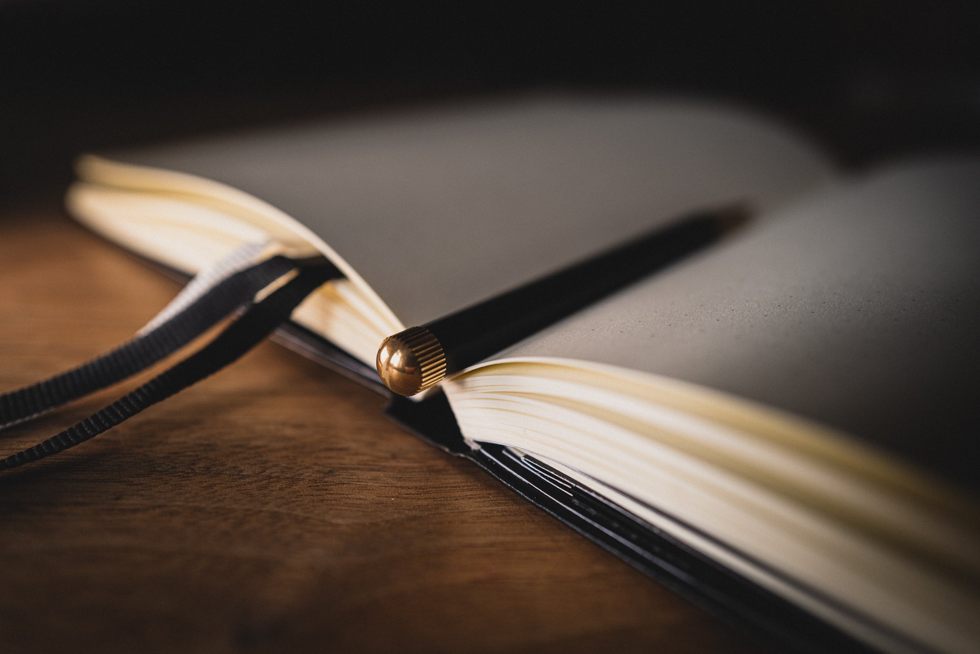 Tušinukas. Drehgriffel Bullet Journal Edition