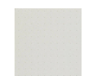 Užrašų blokas. Paper Pad Color Dot Grid [A5]