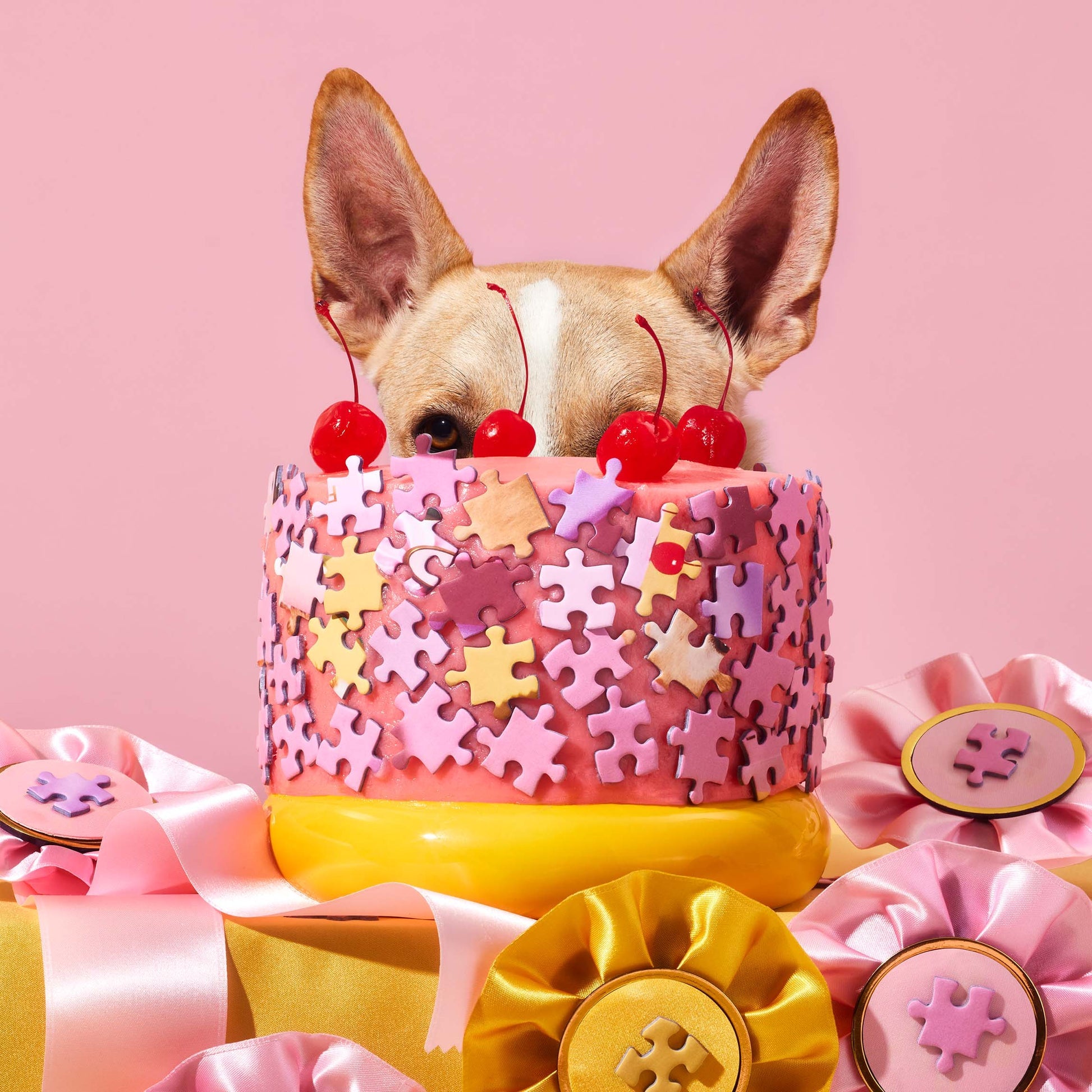 Dėlionė. Top Dog
