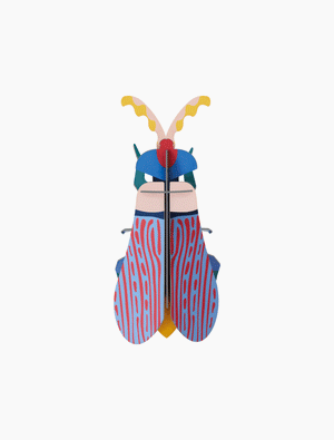 Dėlionė. Striped Wing Beetle