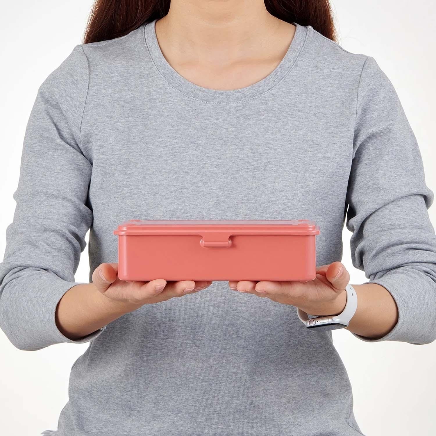 Metalinė dėžutė. Toolbox T-190 [Mustard]