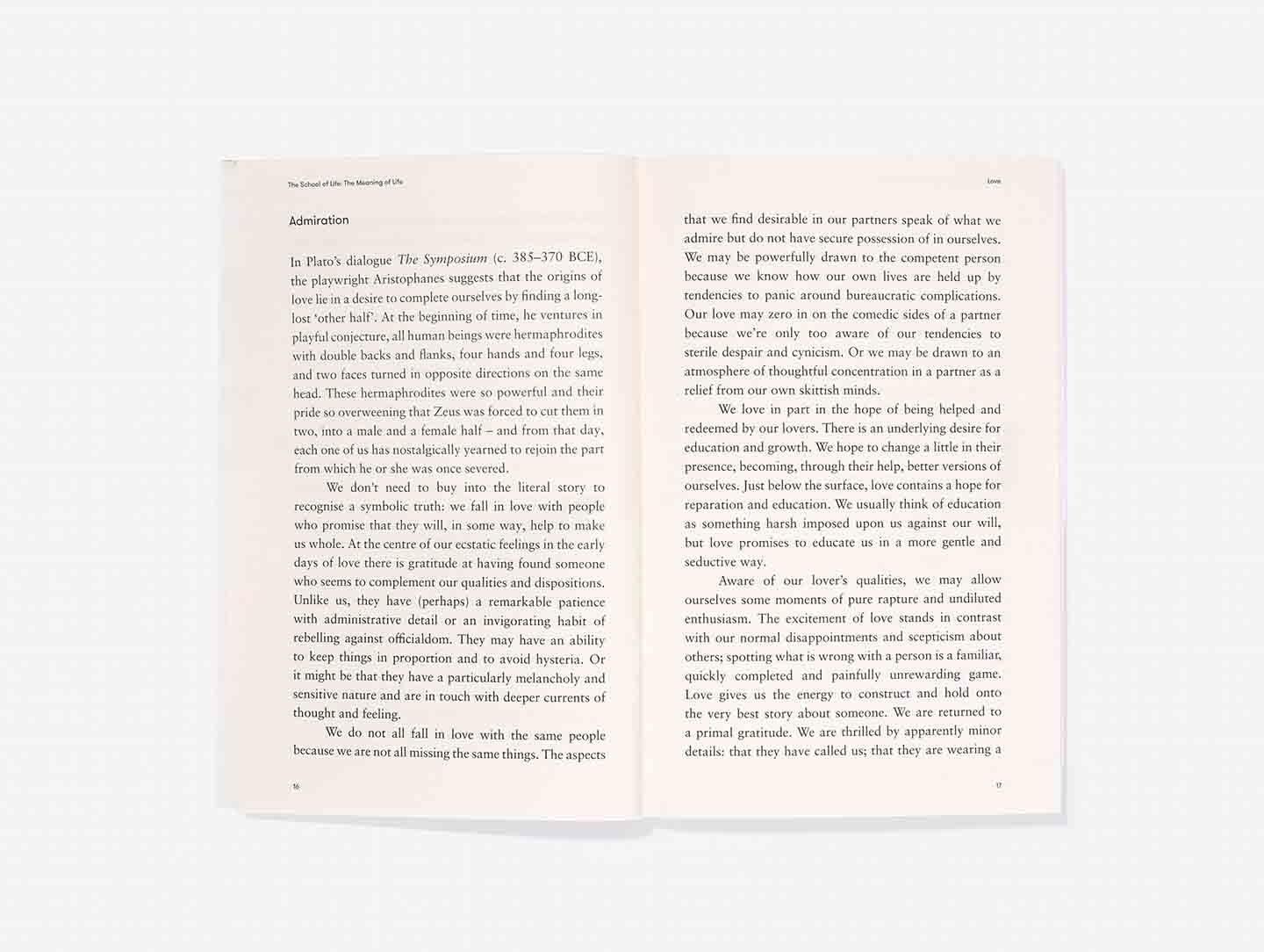 Knyga. The Meaning of Life