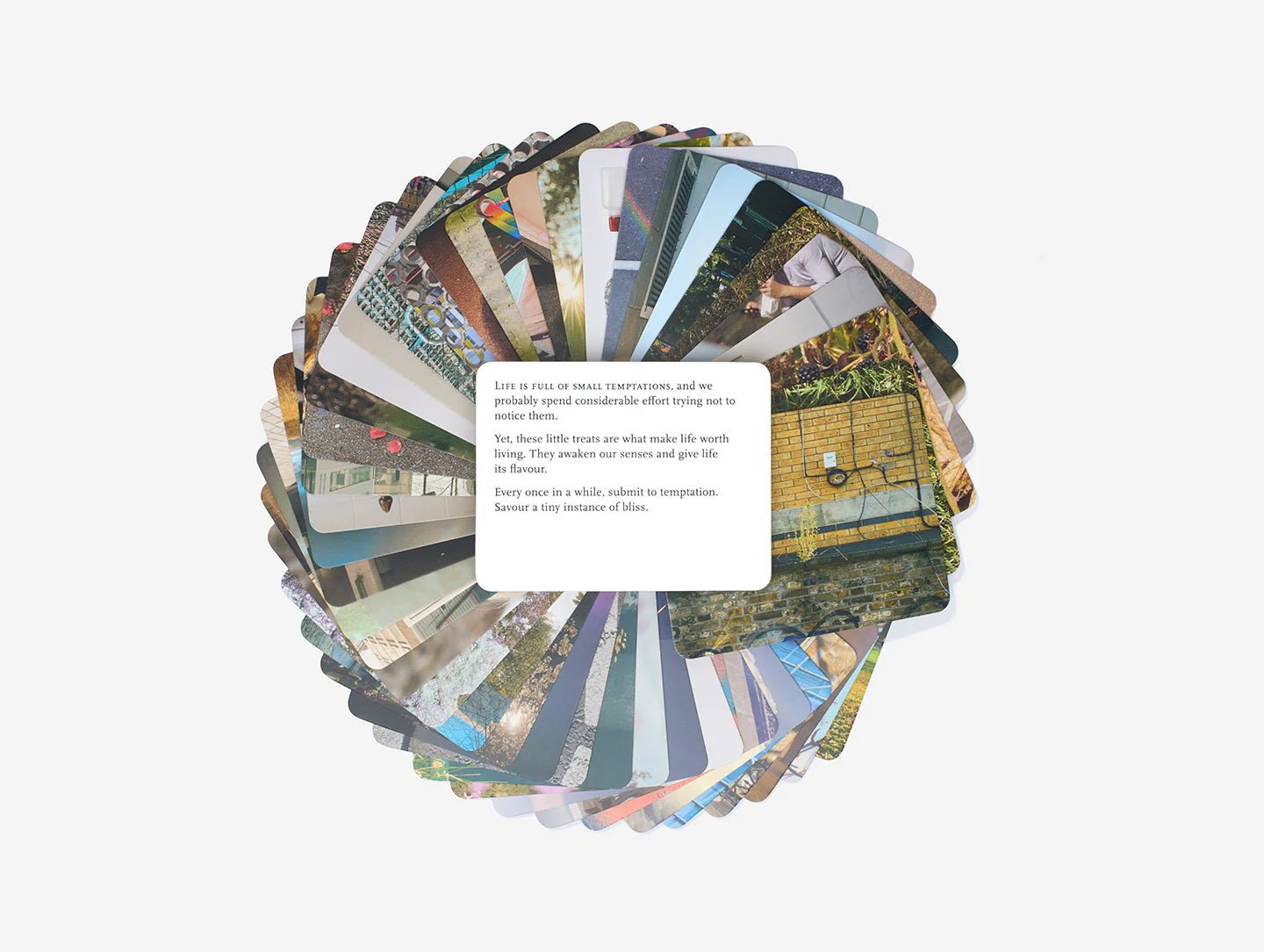 Kortelės. Everyday Wonder