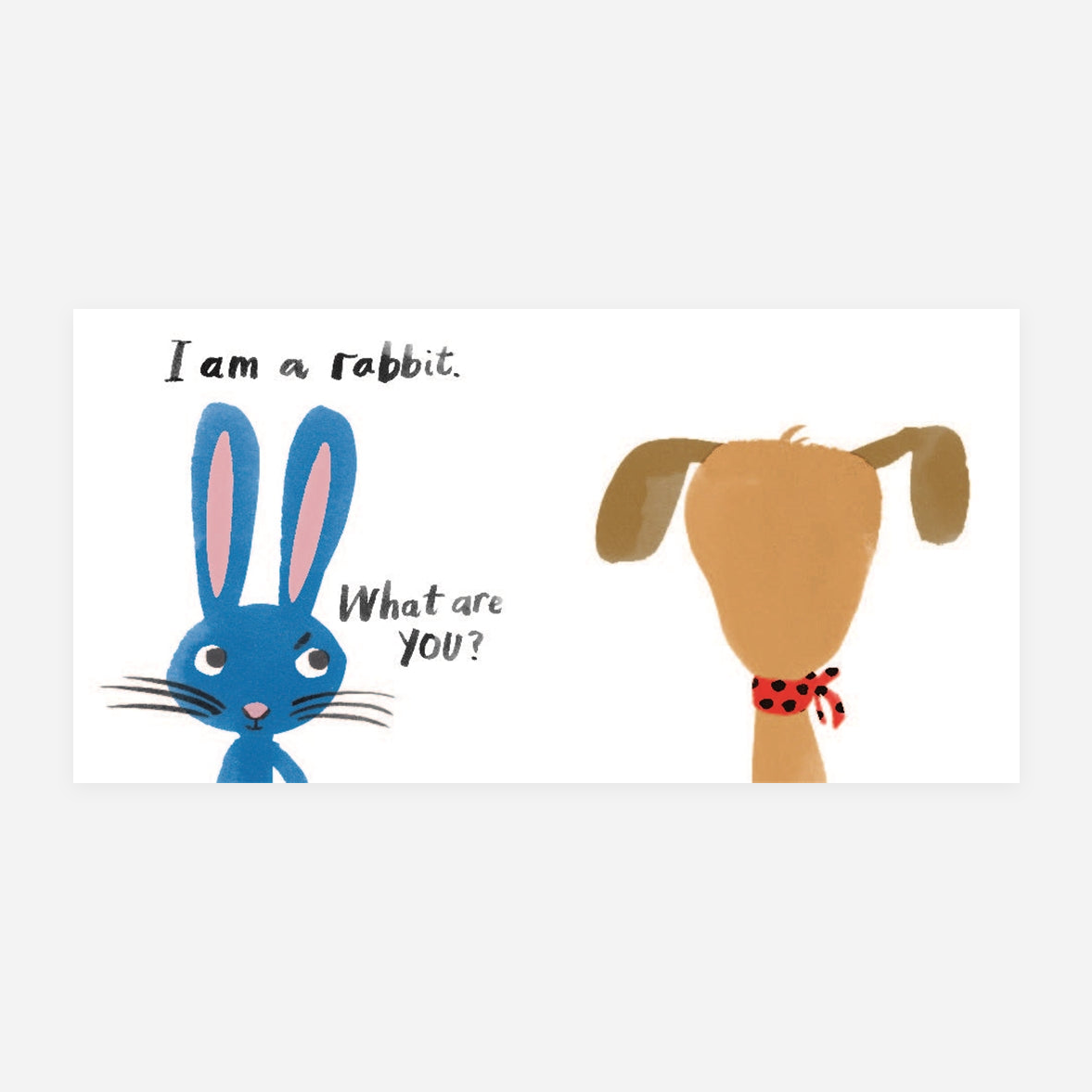 Knyga. Let's Look at Animals