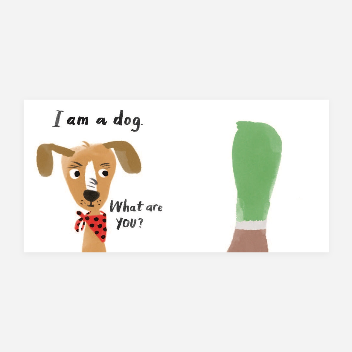 Knyga. Let's Look at Animals