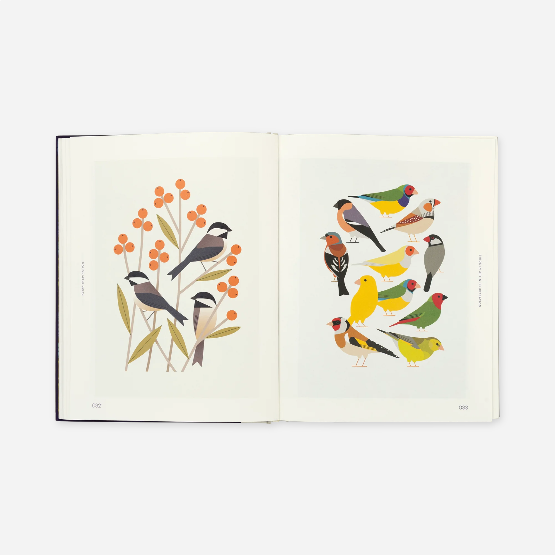 Knyga. Avian Inspiration