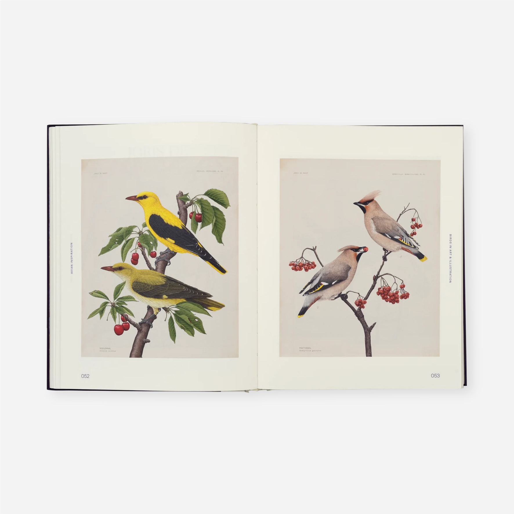 Knyga. Avian Inspiration