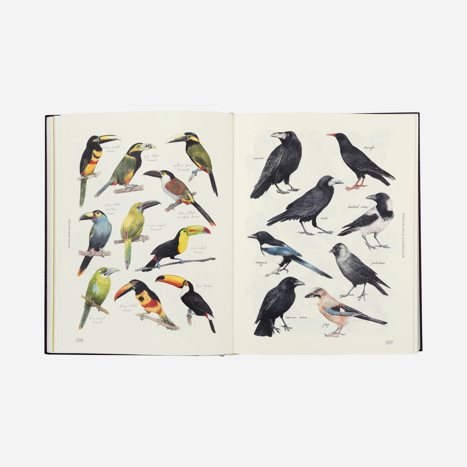 Knyga. Avian Inspiration