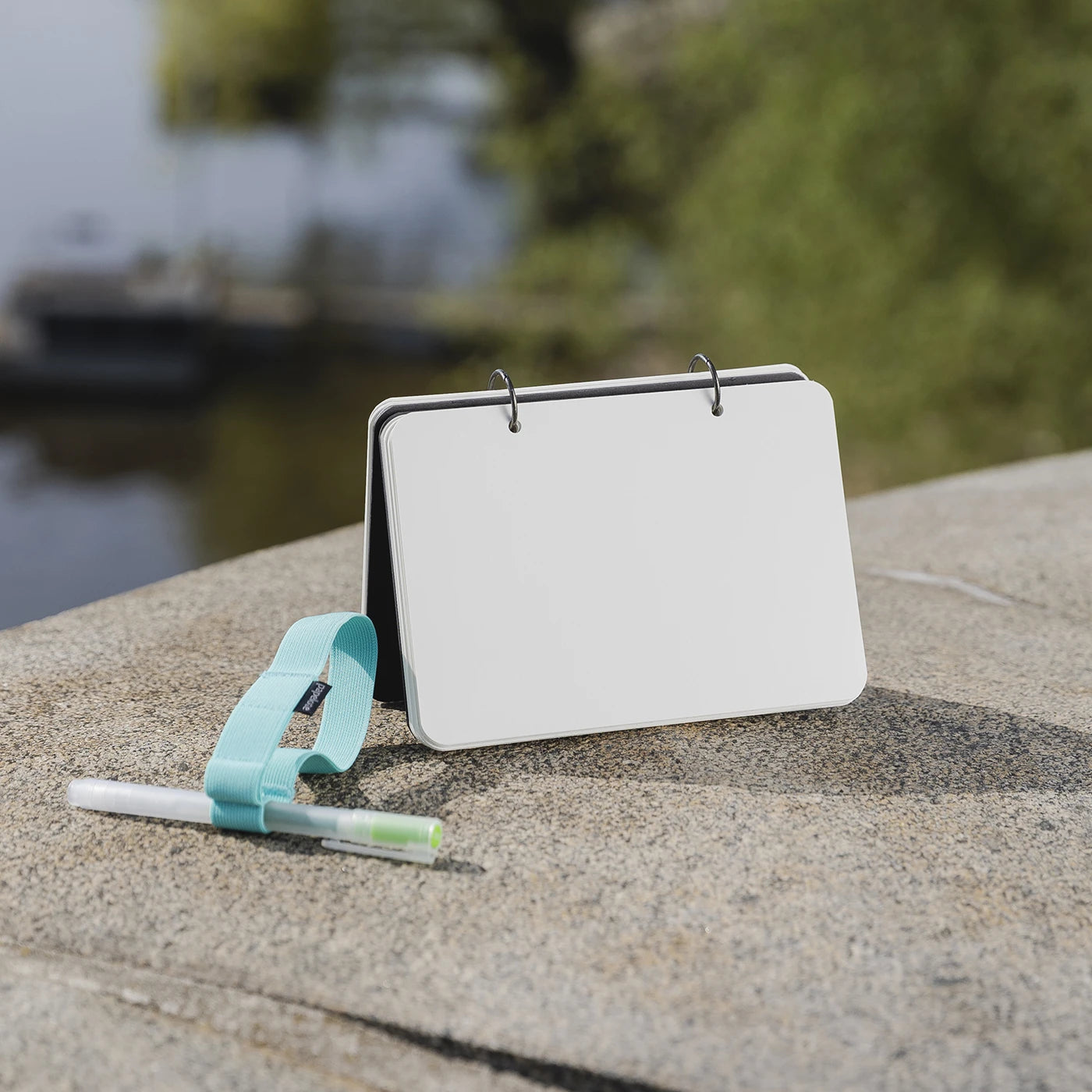 Rinkinys. Skica M with Pen Loop