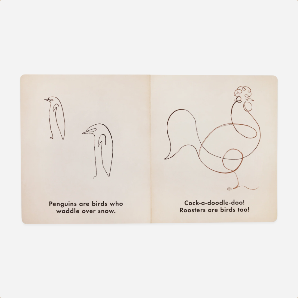 Knyga. Birds & Other Animals