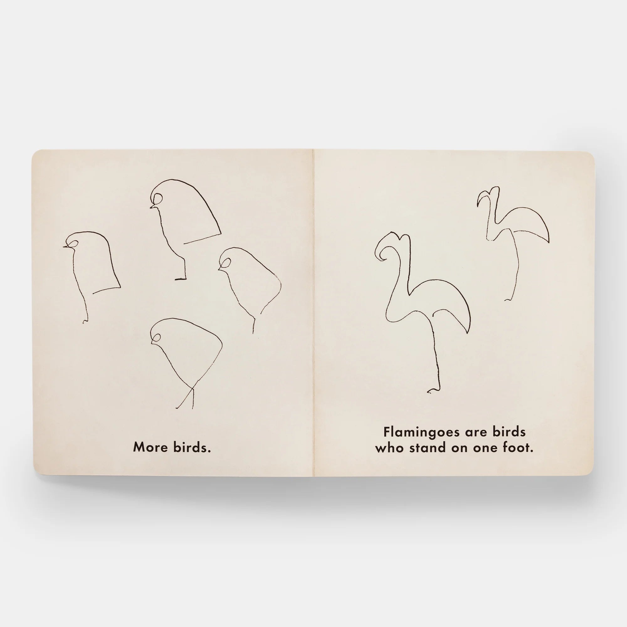 Knyga. Birds & Other Animals
