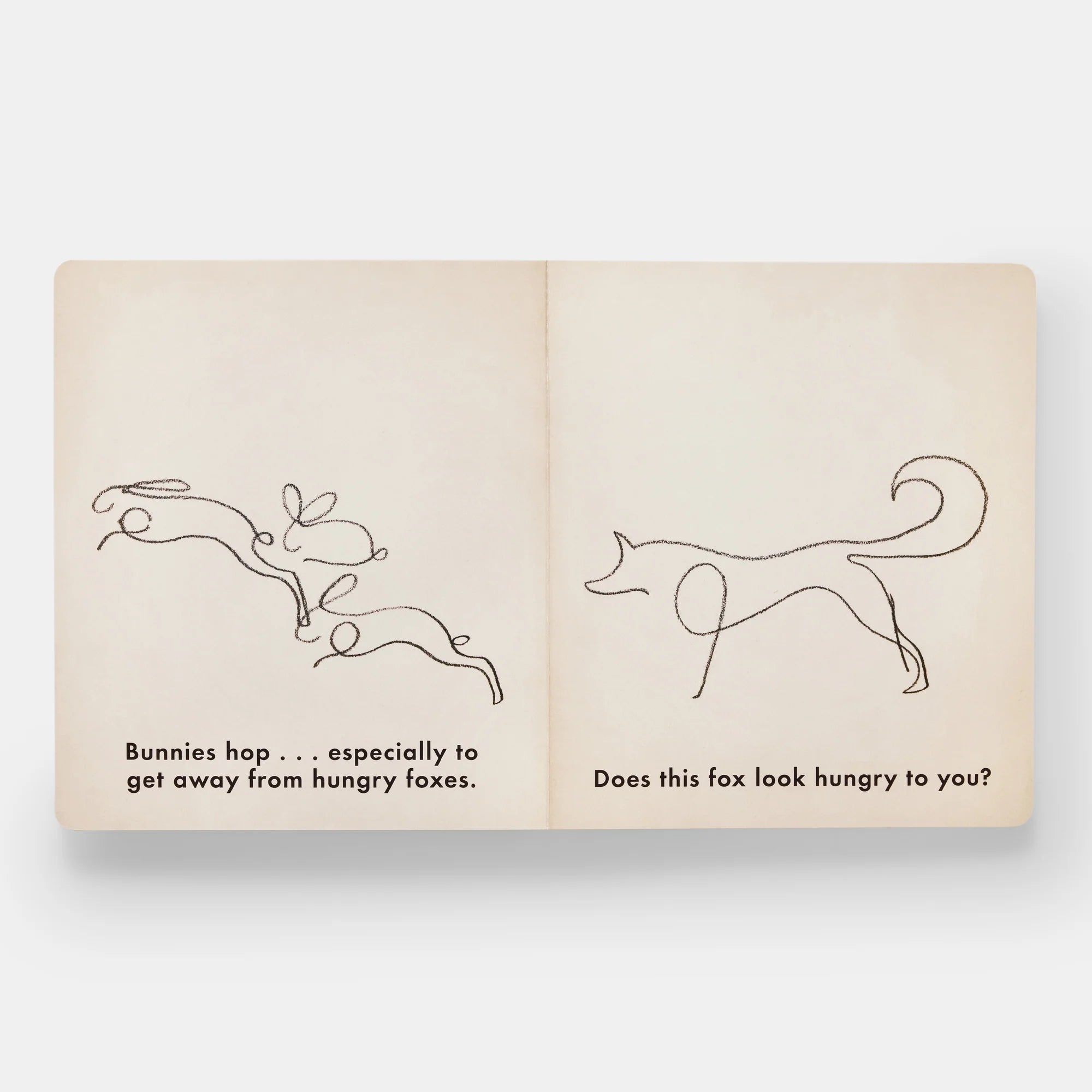 Knyga. Birds & Other Animals