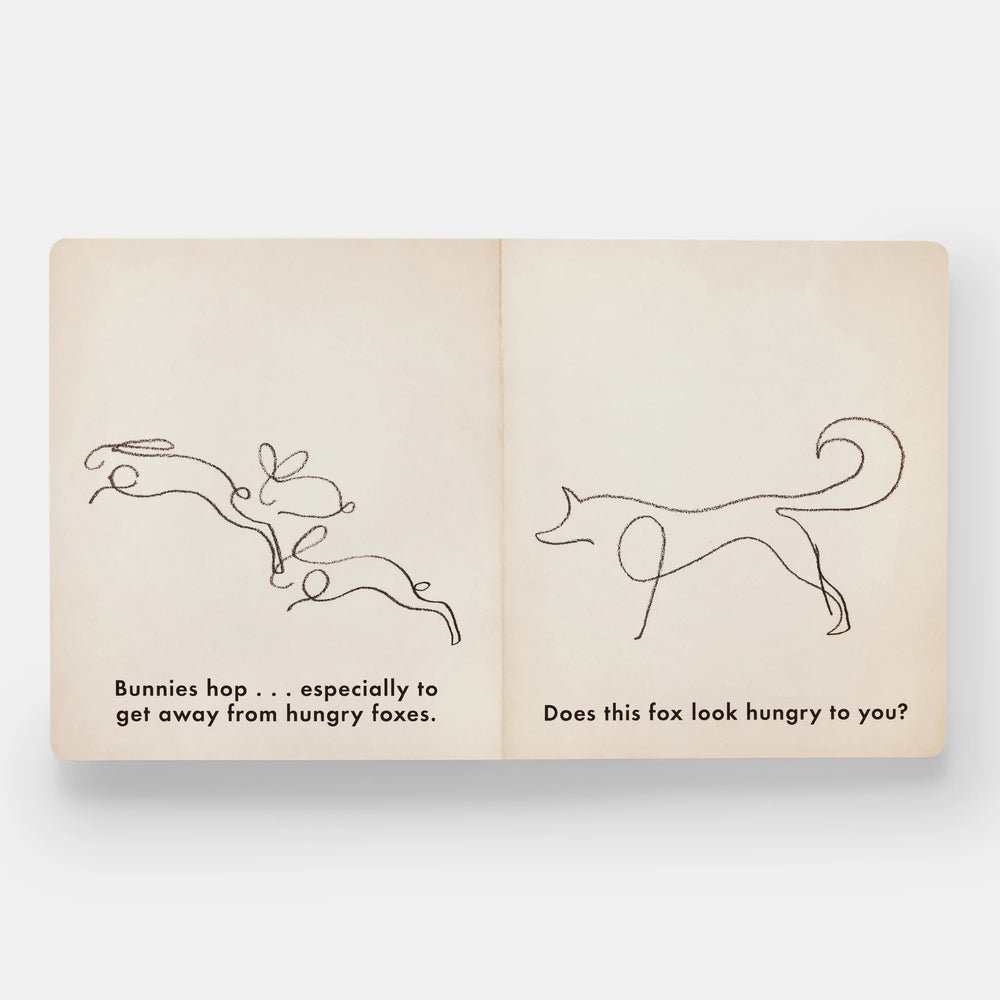 Knyga. Birds & Other Animals