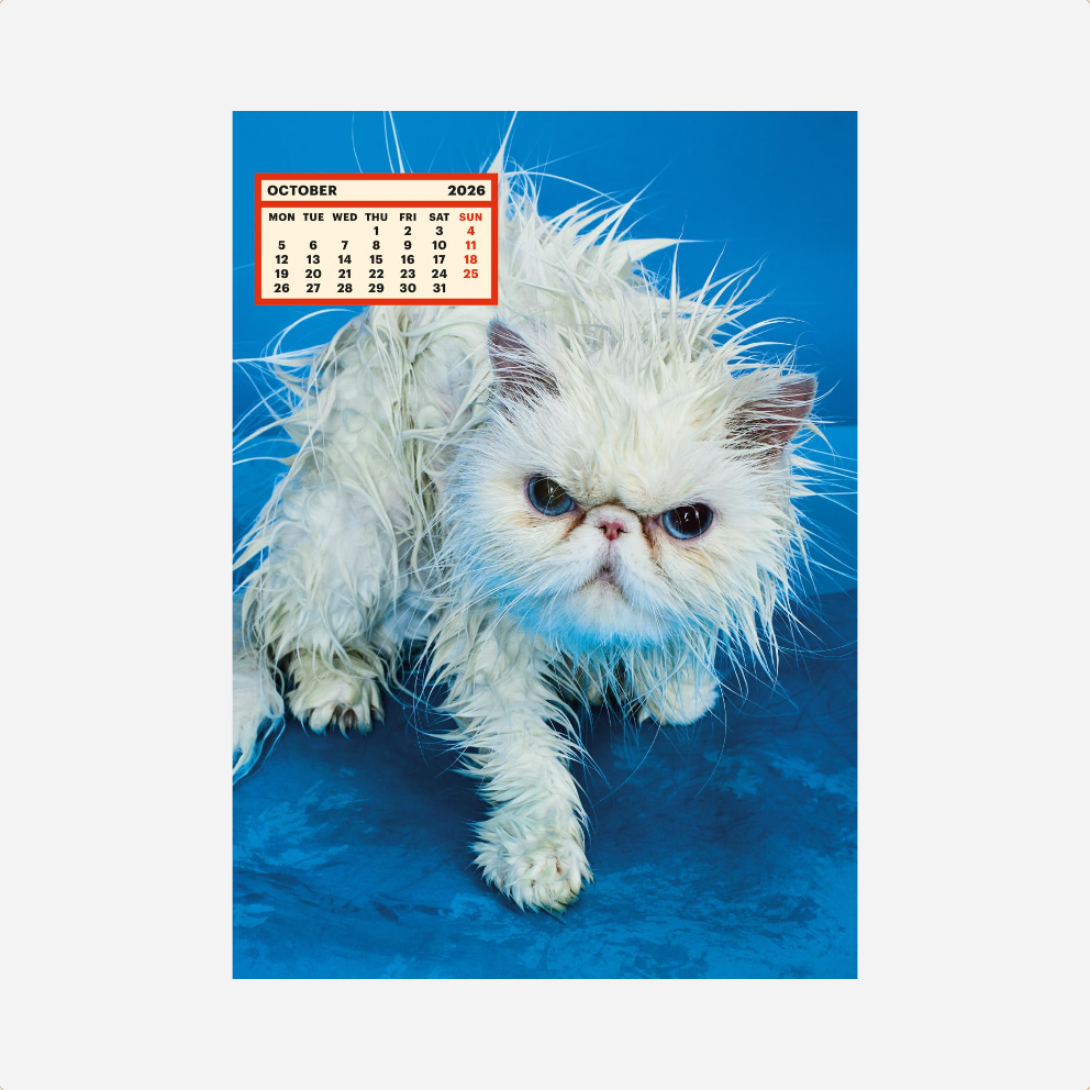 Kalendorius. ToiletWalterPaperChandoha [2026]