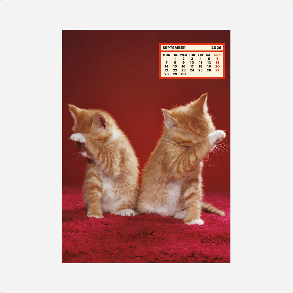 Kalendorius. ToiletWalterPaperChandoha [2026]