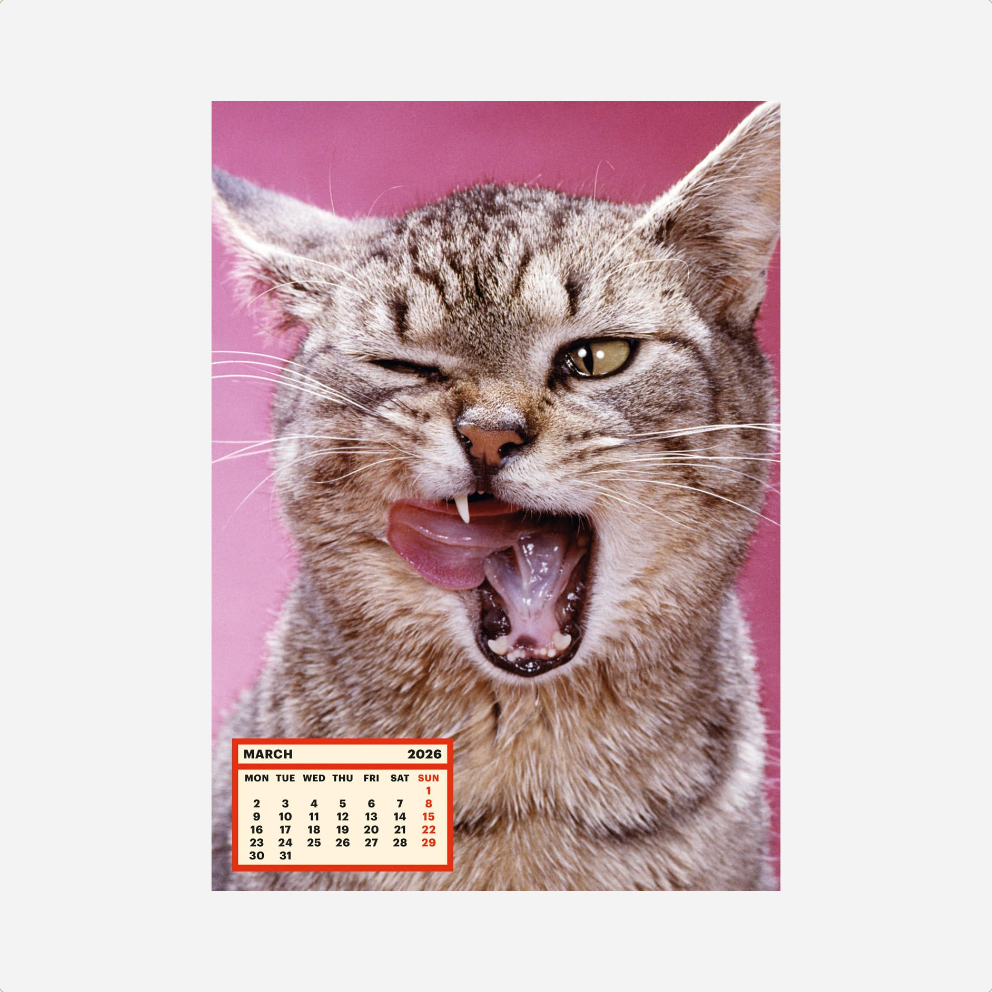 Kalendorius. ToiletWalterPaperChandoha [2026]