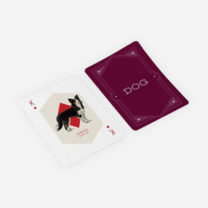 Žaidimo kortos. Cat & Dog Playing Cards Set