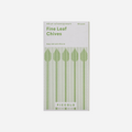 Prieskoninė žolelė. Laiškinis česnakas [Fine Leaf Chives]