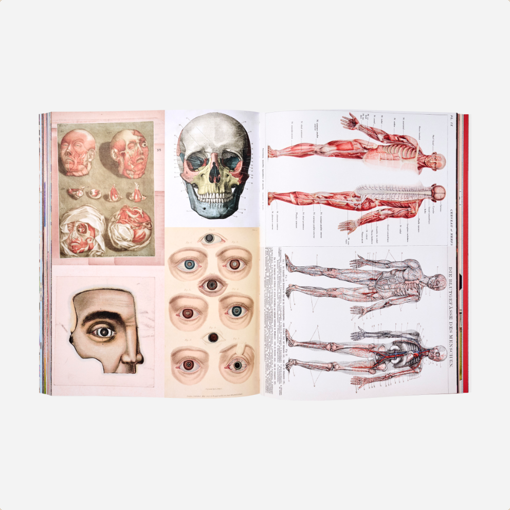 Knyga. Cut-out Curiosities Space, Science & Technology