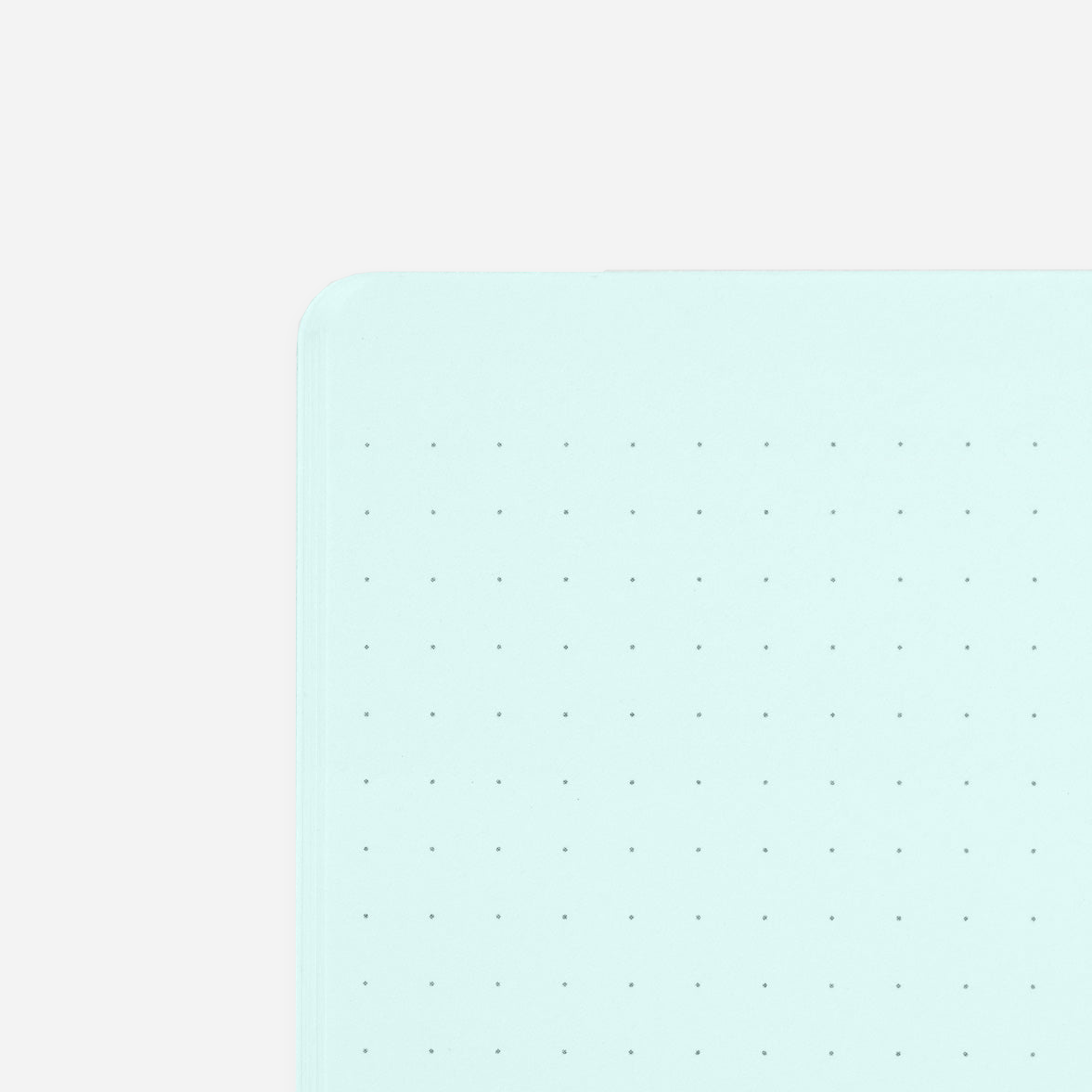 Sąsiuvinis. Color Dot Grid