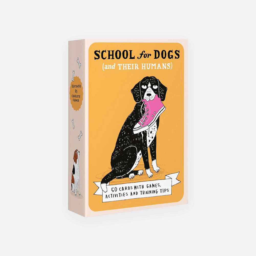 Kortelės. School For Dogs (and their humans)